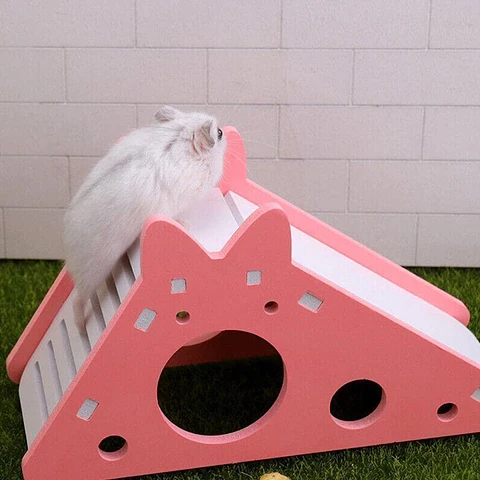 Tobogán con guarida para hamster pequeño
