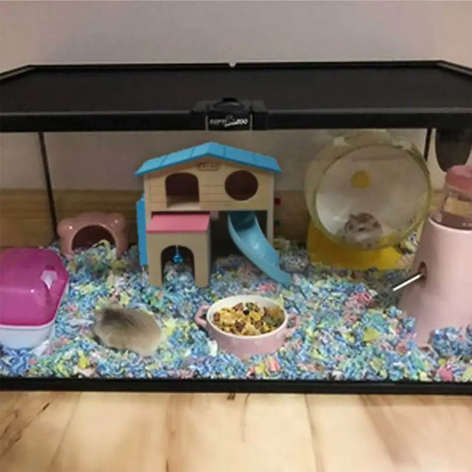 Escondite madera hamster con escalera y tobogan 5