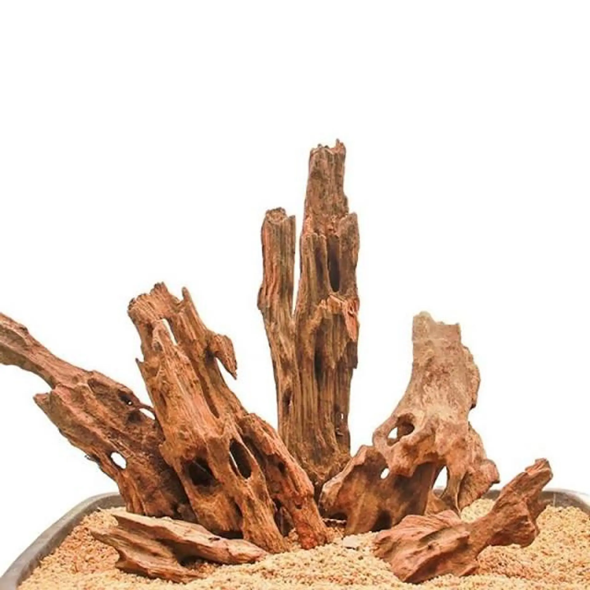 Tronco Shrimp wood 15-25 cm 450 g 1
