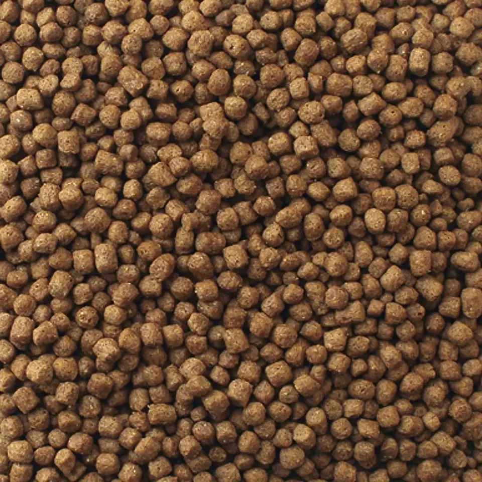 Mazuri tortugas semi acuaticas 340 gramos 3