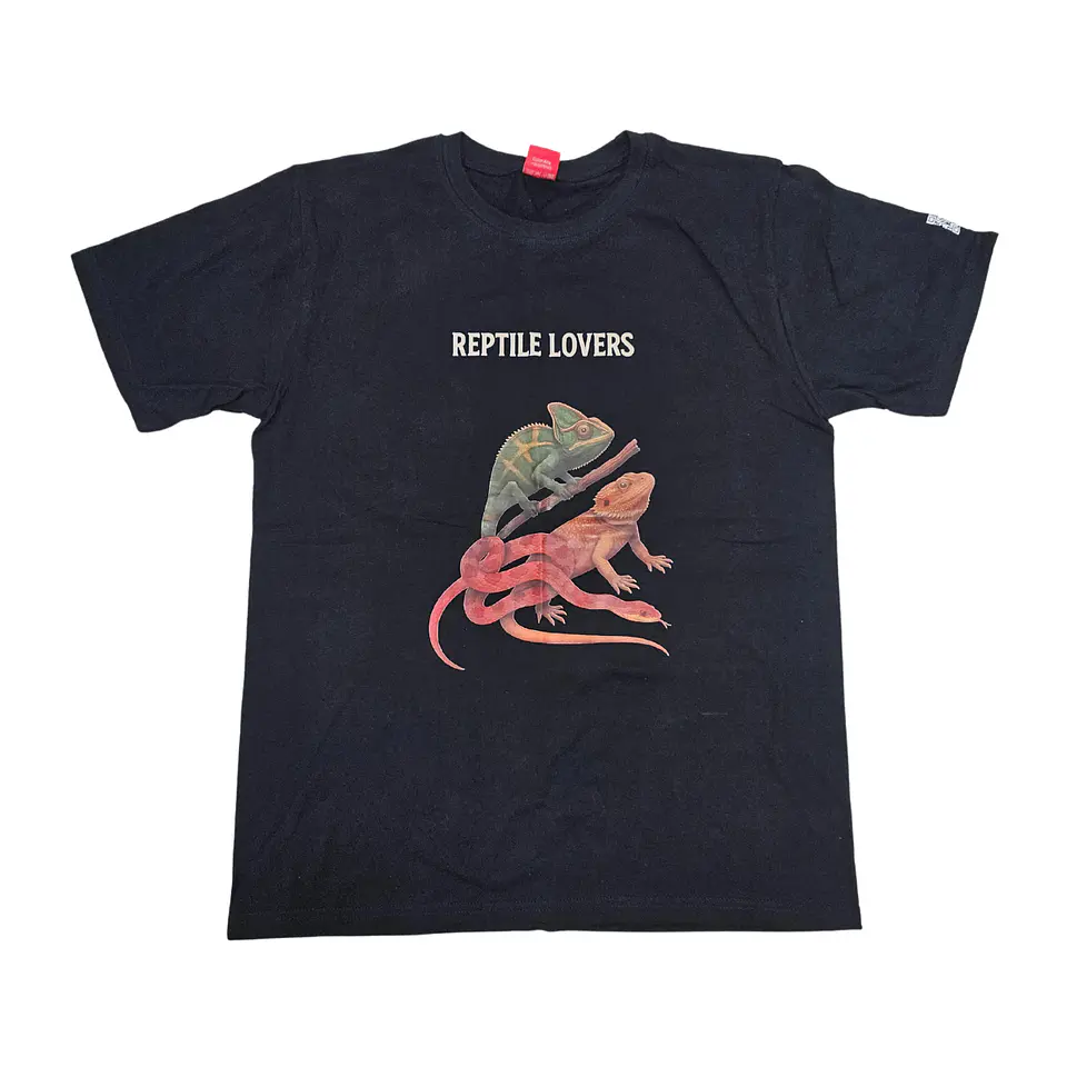 Polera 