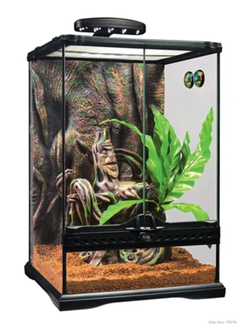 EXO TERRA KIT INICIO GECKO CRESTADO SMALL 1