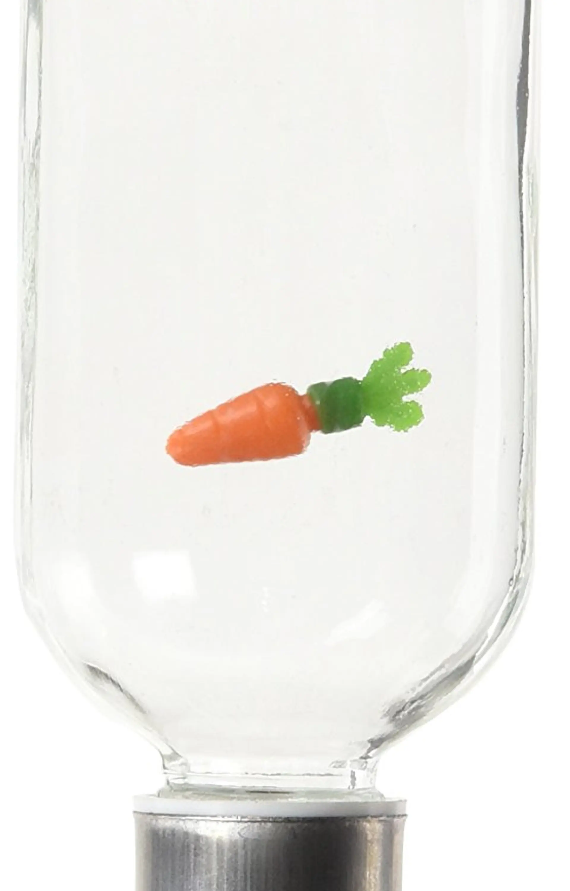 Bebedero Botella Vidrio Living World 4