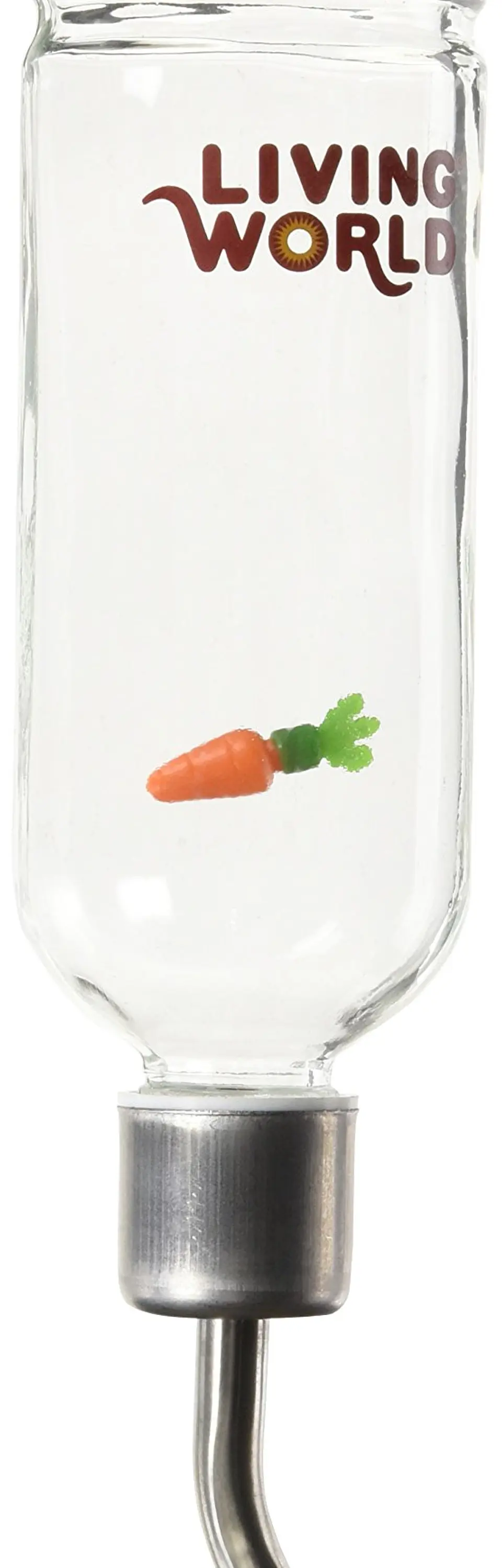 Bebedero Botella Vidrio Living World 4