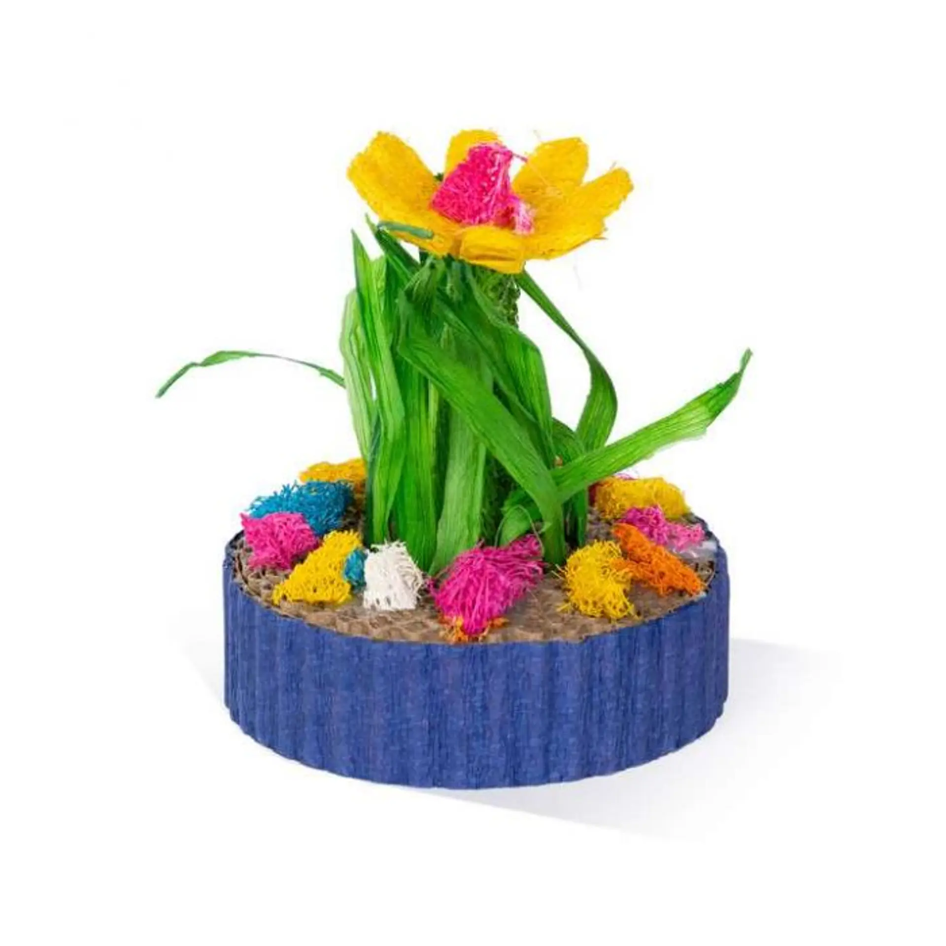 Mini Jardin de Suculentas Juguete 1