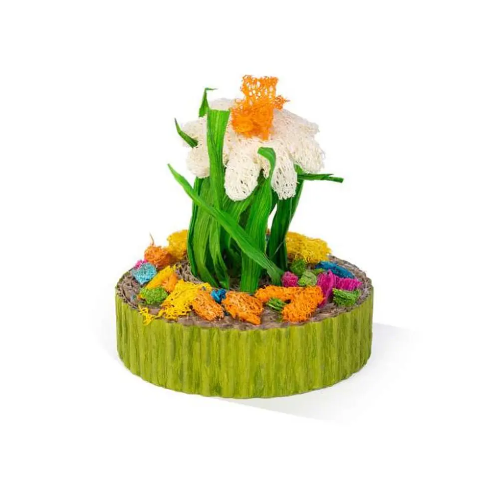 Mini Jardin de Suculentas Juguete 2