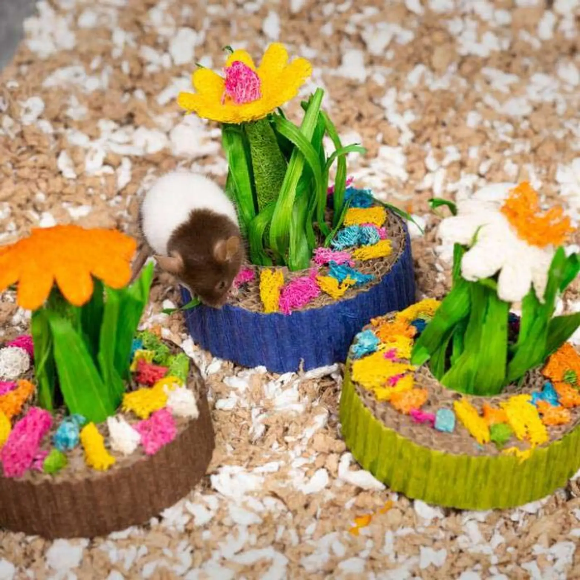 Mini Jardin de Suculentas Juguete 3