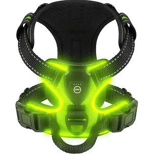 Arnes con luz para perros recargable USB para paseos nocturnos