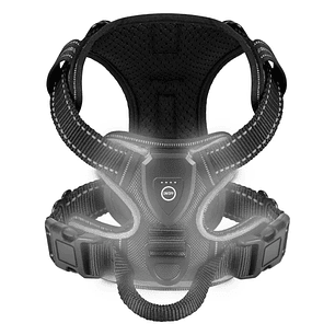 Arnes con luz para perros recargable USB para paseos nocturnos