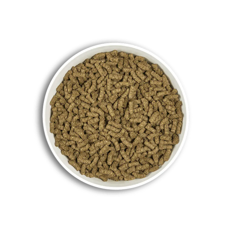 CUNIPIC ALPHA PRO CHINCHILLA & DEGU 3