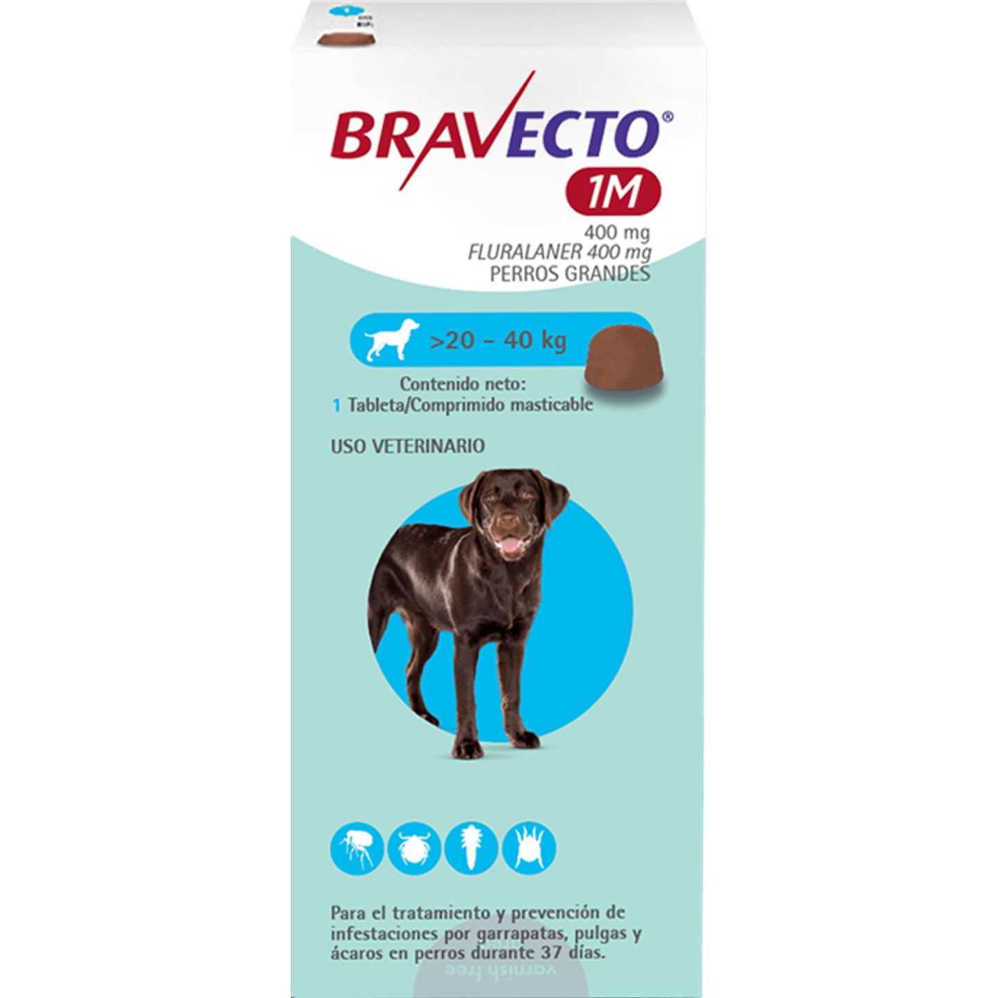 Antiparasitario Bravecto Perros 1 mes 4