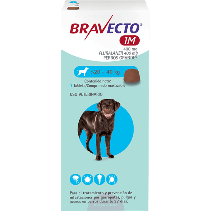 Antiparasitario Bravecto Perros 1 mes 4