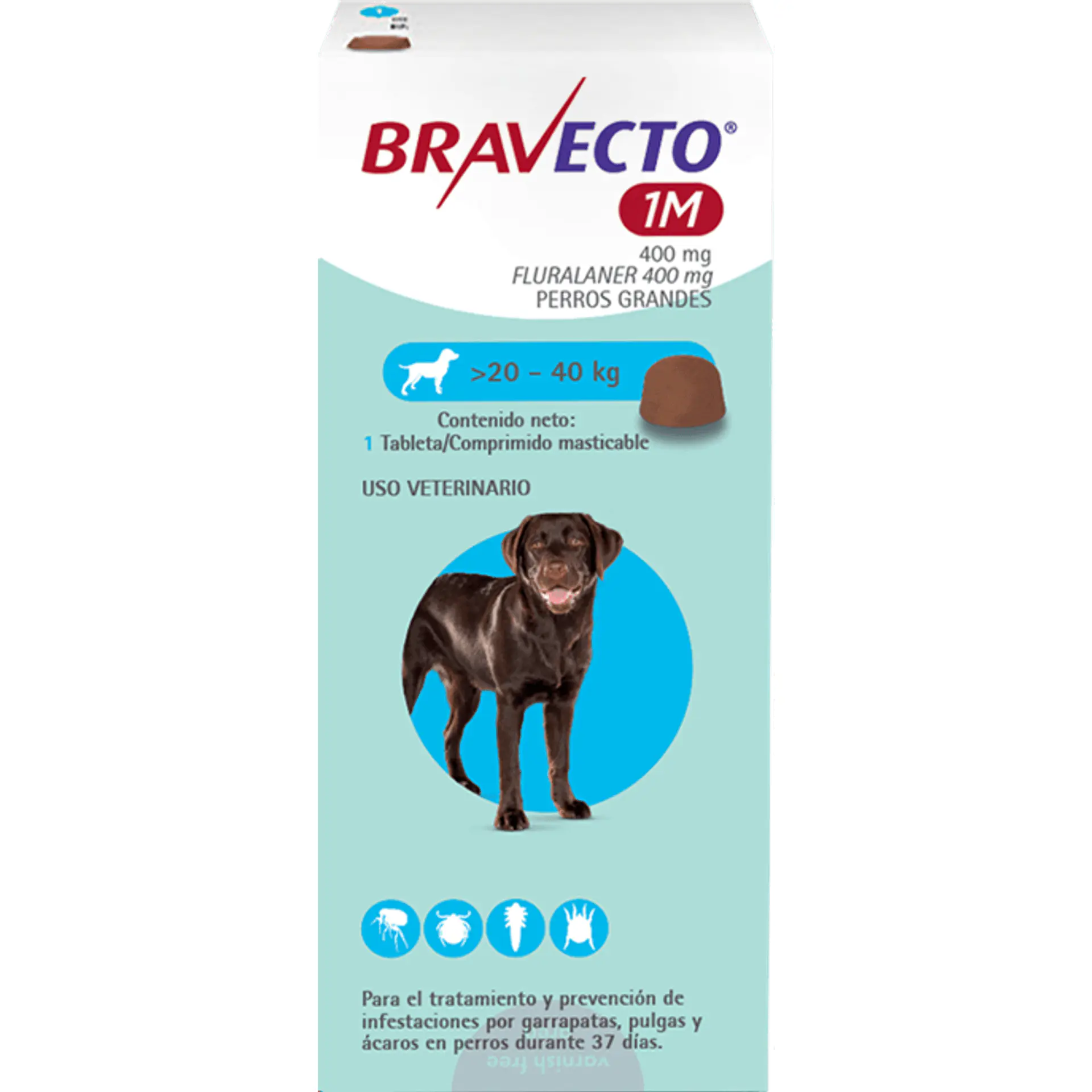 Antiparasitario Bravecto Perros 1 mes 4