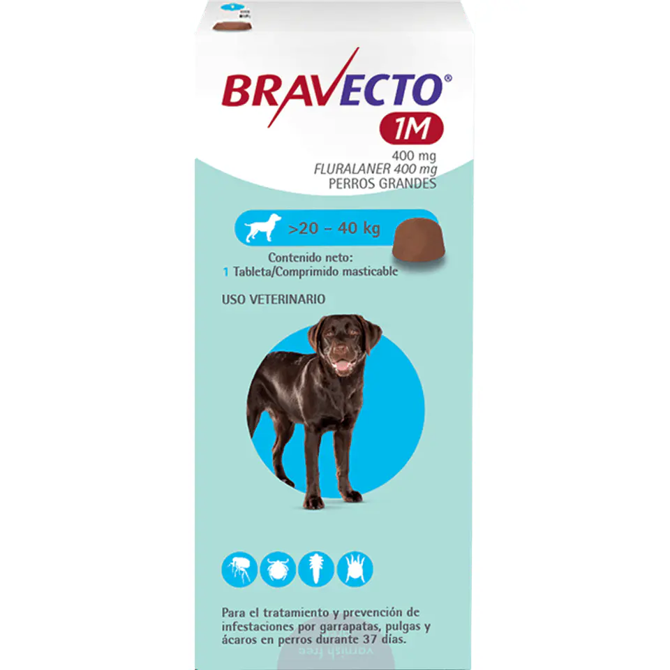 Antiparasitario Bravecto Perros 1 mes 4