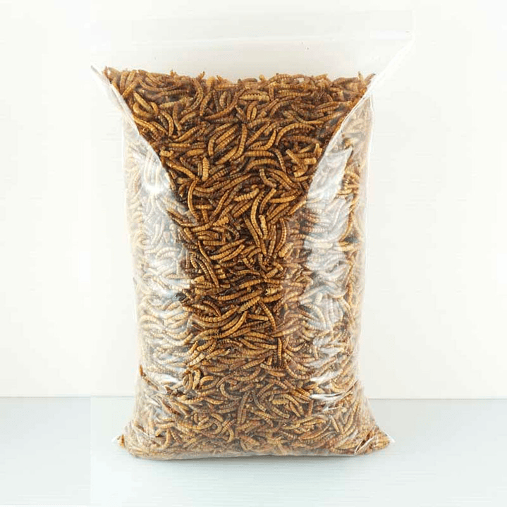 Tenebrios deshidratados 2