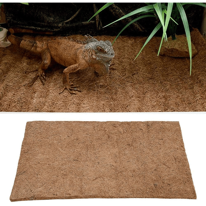 Alfombra fibra de coco 4