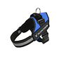Arnes perro alta resistencia talla M - Miniatura 1