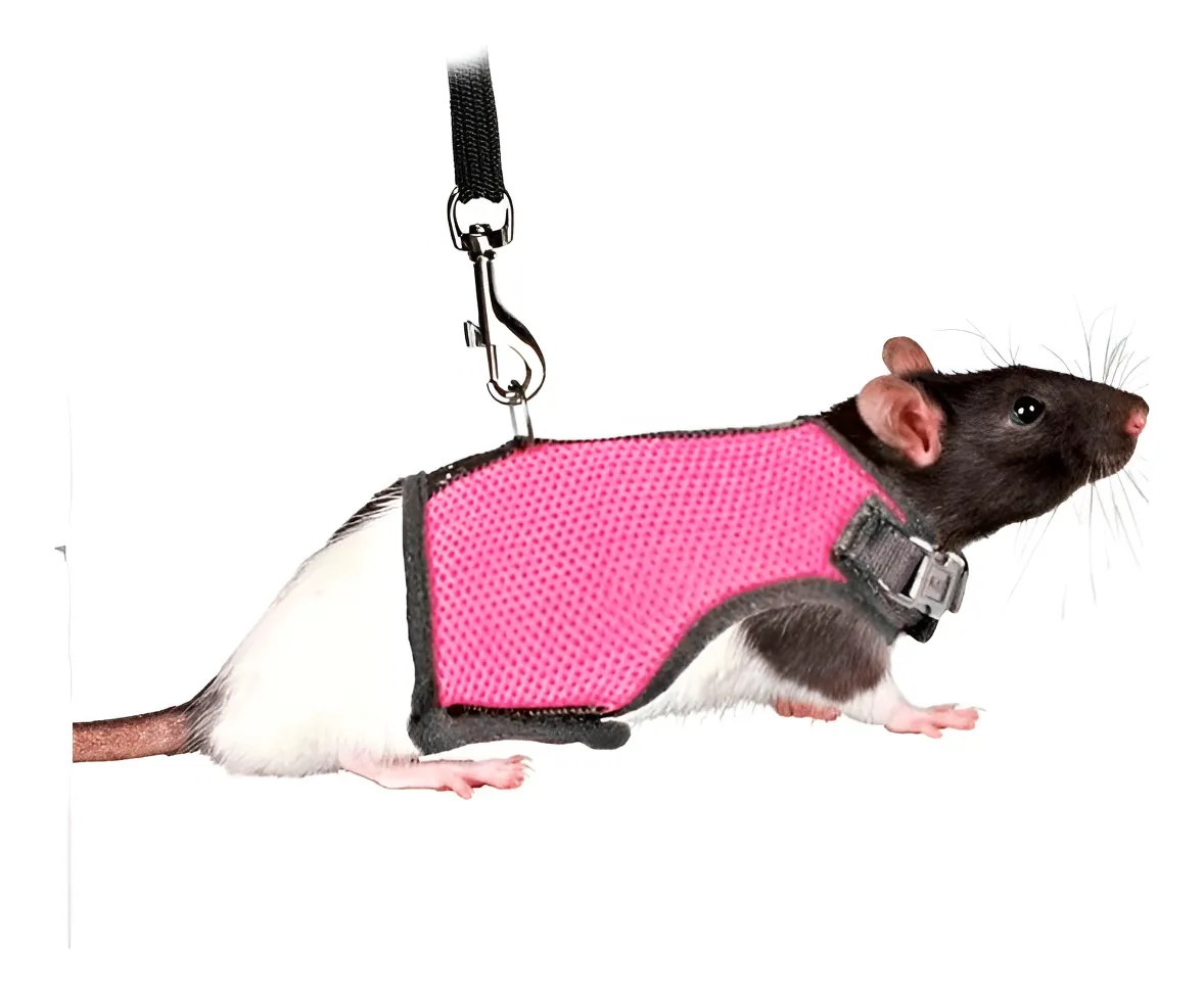 Arnes talla S para pequeñas mascotas