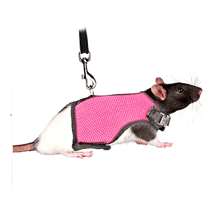 Arnes talla S para pequeñas mascotas