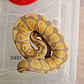 Piton Regius Pastel Banana Het Clown - Miniatura 1