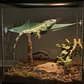 Hamaca Zoo med 44 cm - Miniatura 3