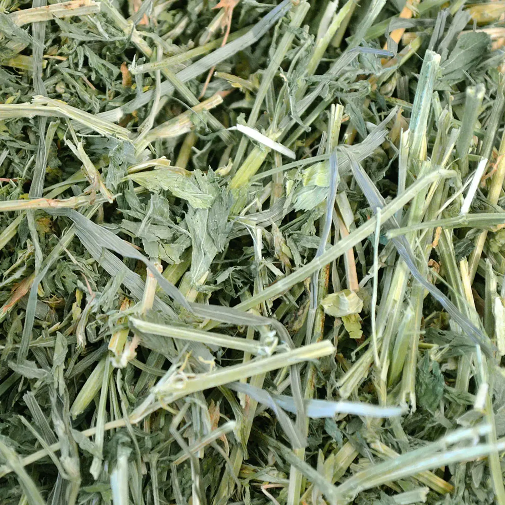Heno Alfalfa Premium Wild Herd 5