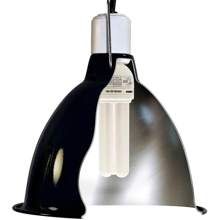 AMPOLLETA UVB 10.0 REPTISUN 26w (Desértica) 4