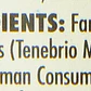 Tenebrios en Lata 