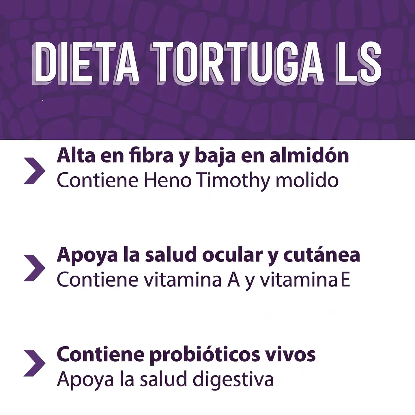 Mazuri tortuga Terrestre 7