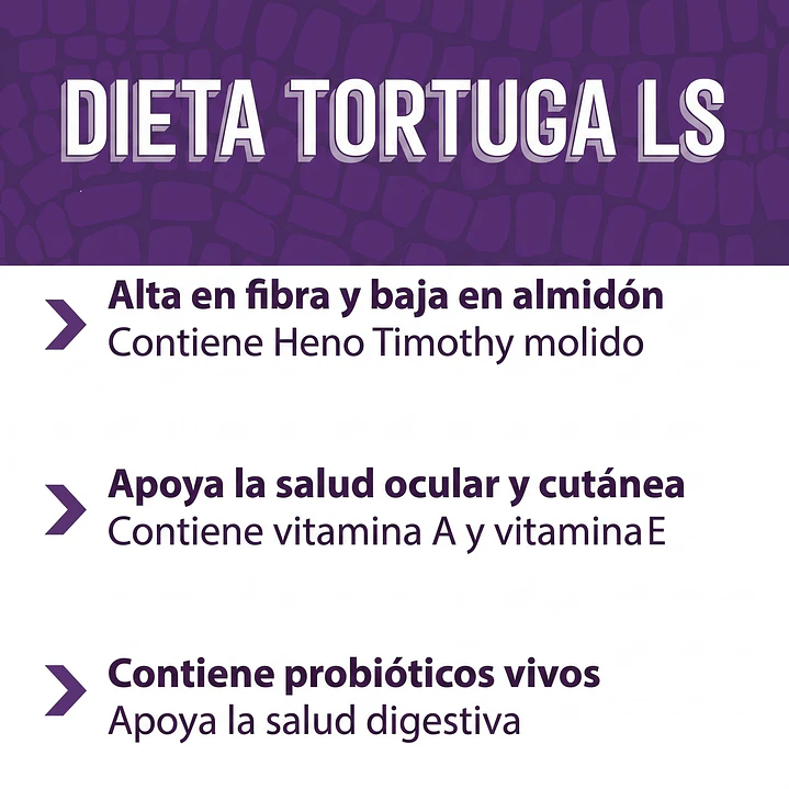 Mazuri tortuga Terrestre 7