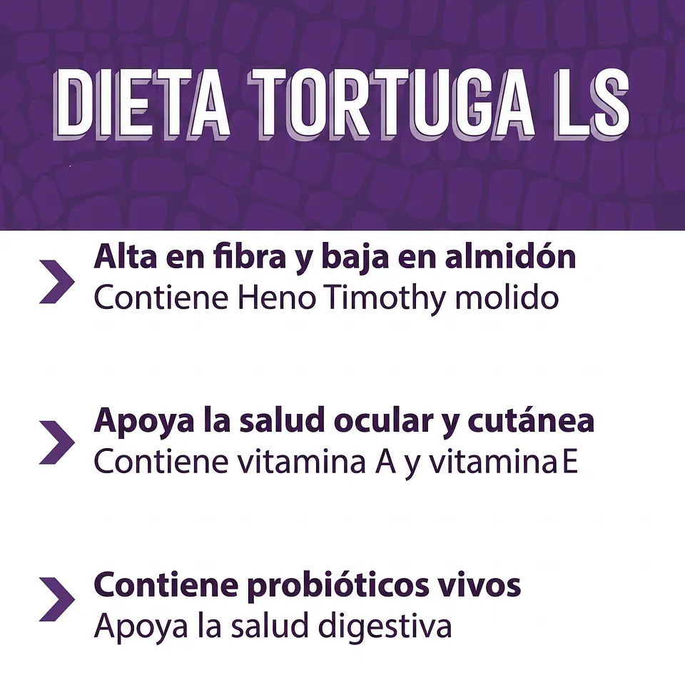 Mazuri tortuga Terrestre 7
