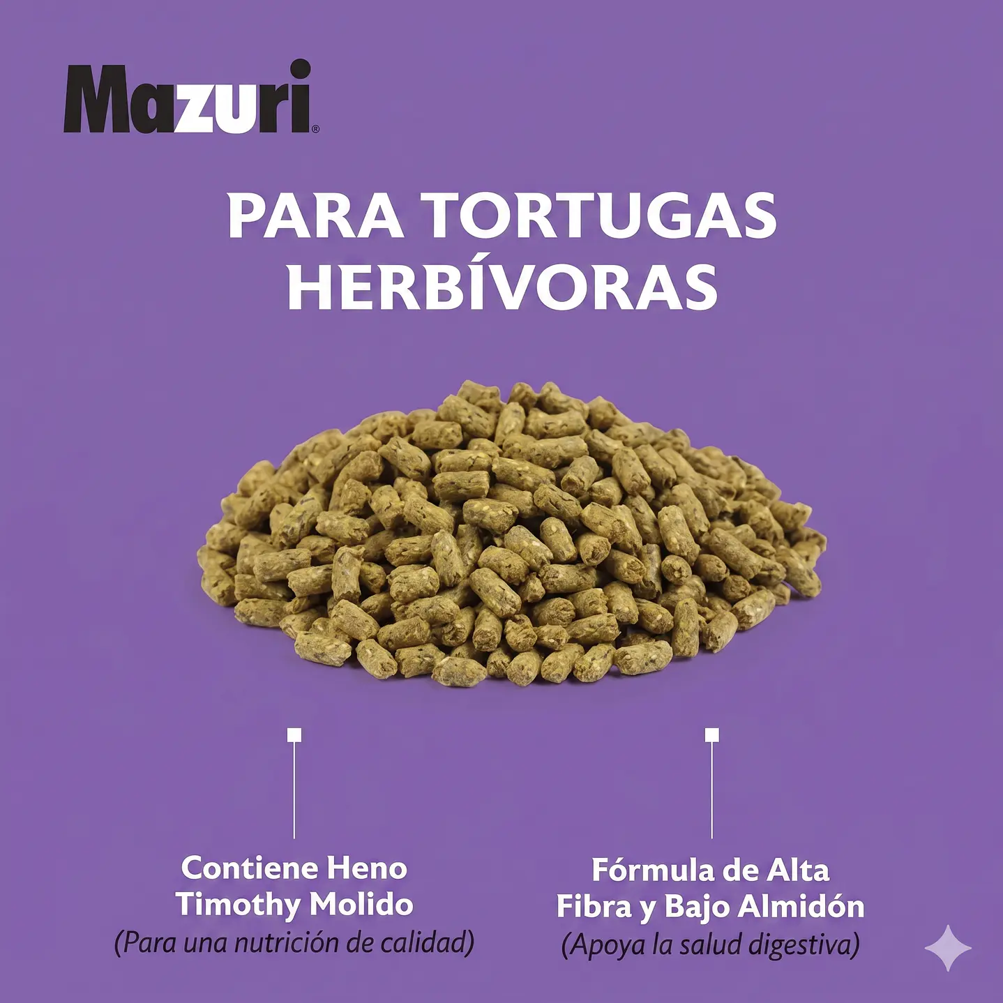 Mazuri tortuga Terrestre 8