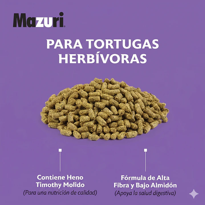 Mazuri tortuga Terrestre 8
