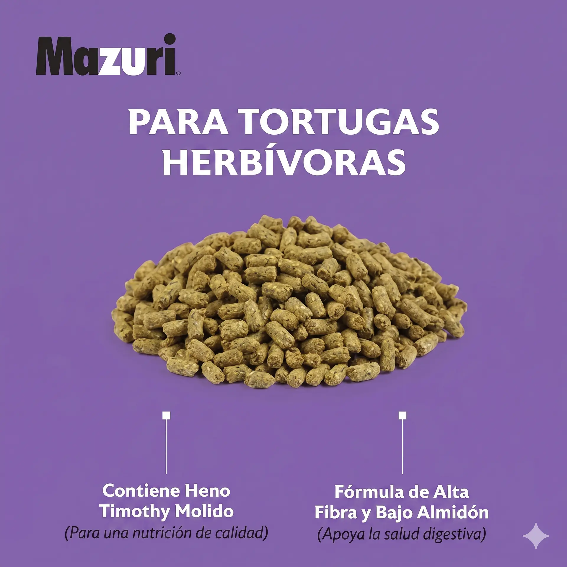 Mazuri tortuga Terrestre 8