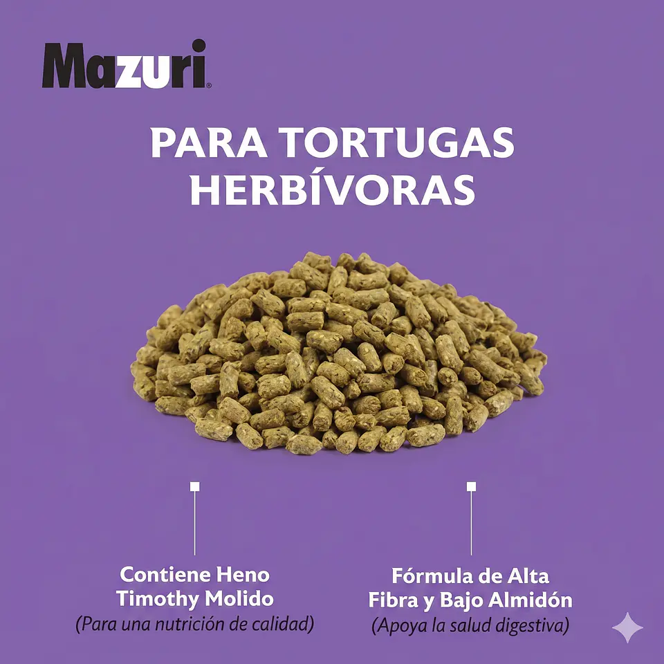 Mazuri tortuga Terrestre 8