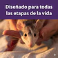 Mazuri Rata y Raton - Miniatura 6