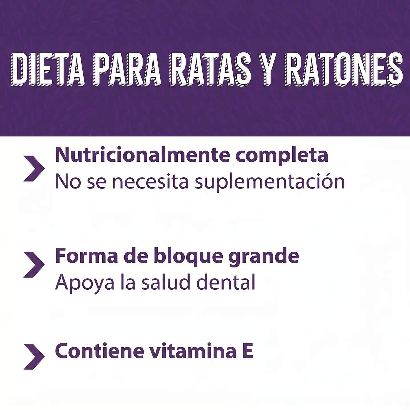 Mazuri Rata y Raton 8