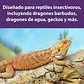 Mazuri para Dragon barbudo - Miniatura 4