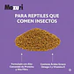 Mazuri para Dragon barbudo - Miniatura 6