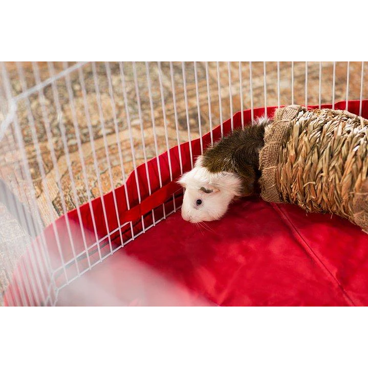 Tunel de pasto pequeñas mascotas 2