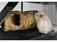 Tunel de pasto pequeñas mascotas - Miniatura 4