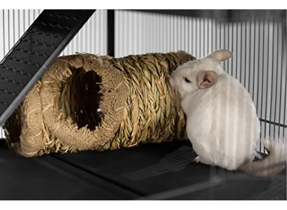 Tunel de pasto pequeñas mascotas 4