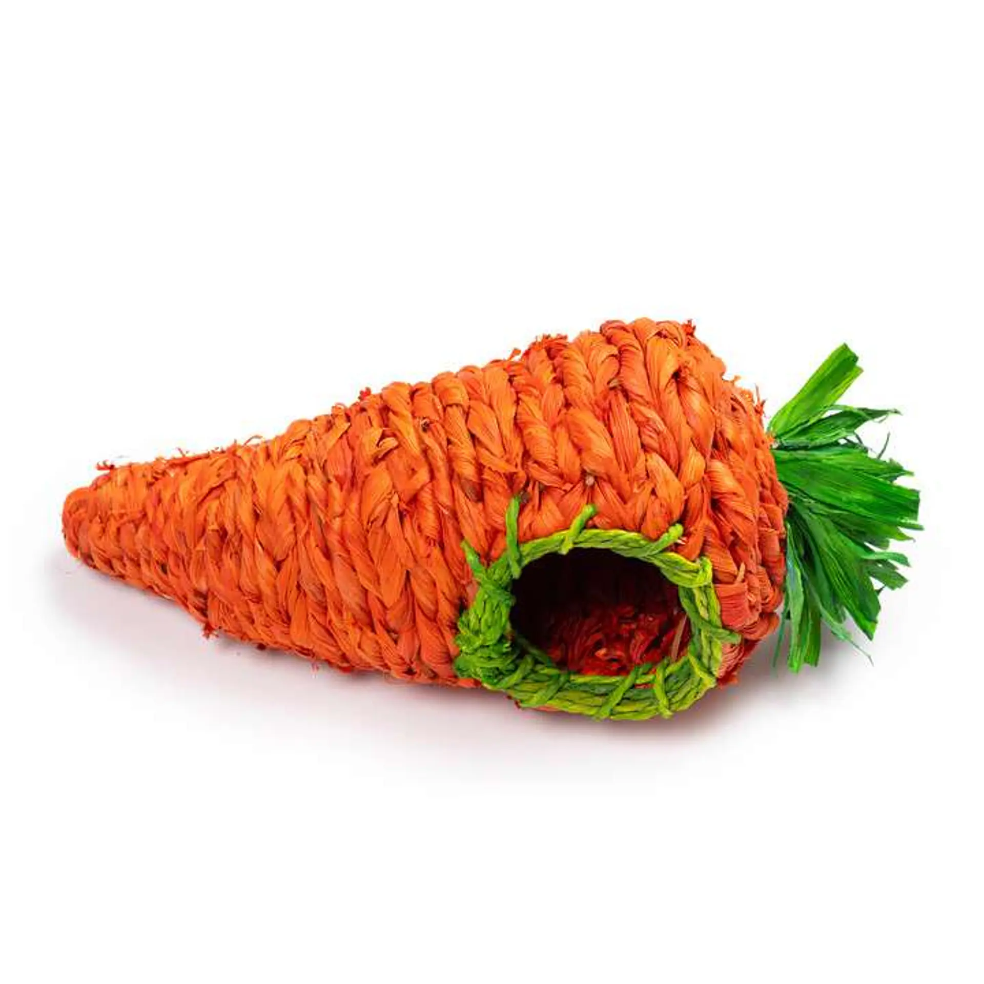 Zanahoria pasto pequeñas mascotas 1