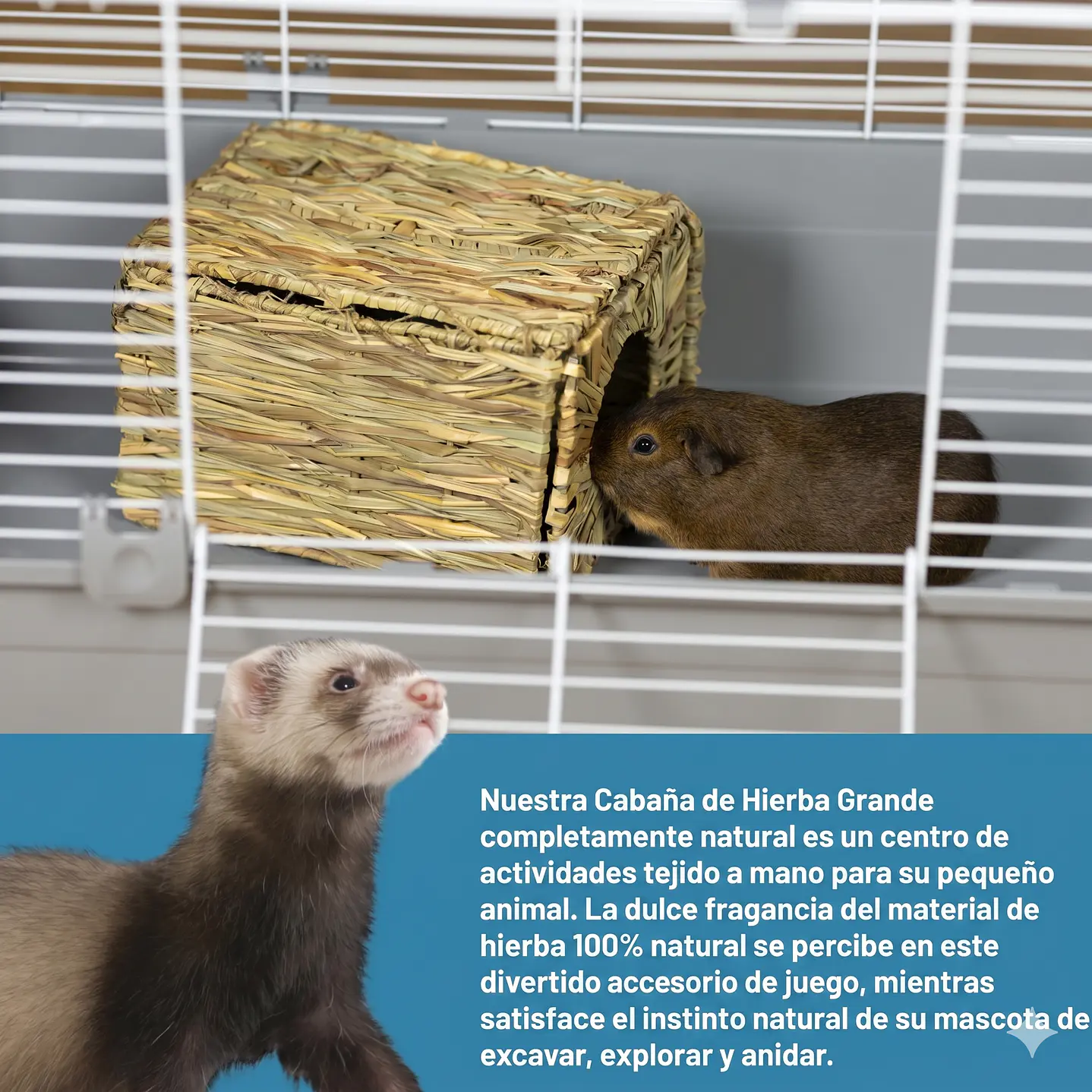 Refugio Cabaña de Pasto para Pequeños Animales  16