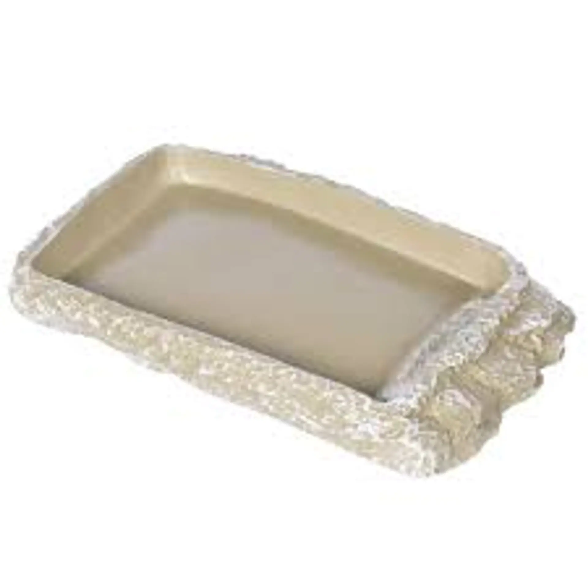 Plato bajo para reptiles 1