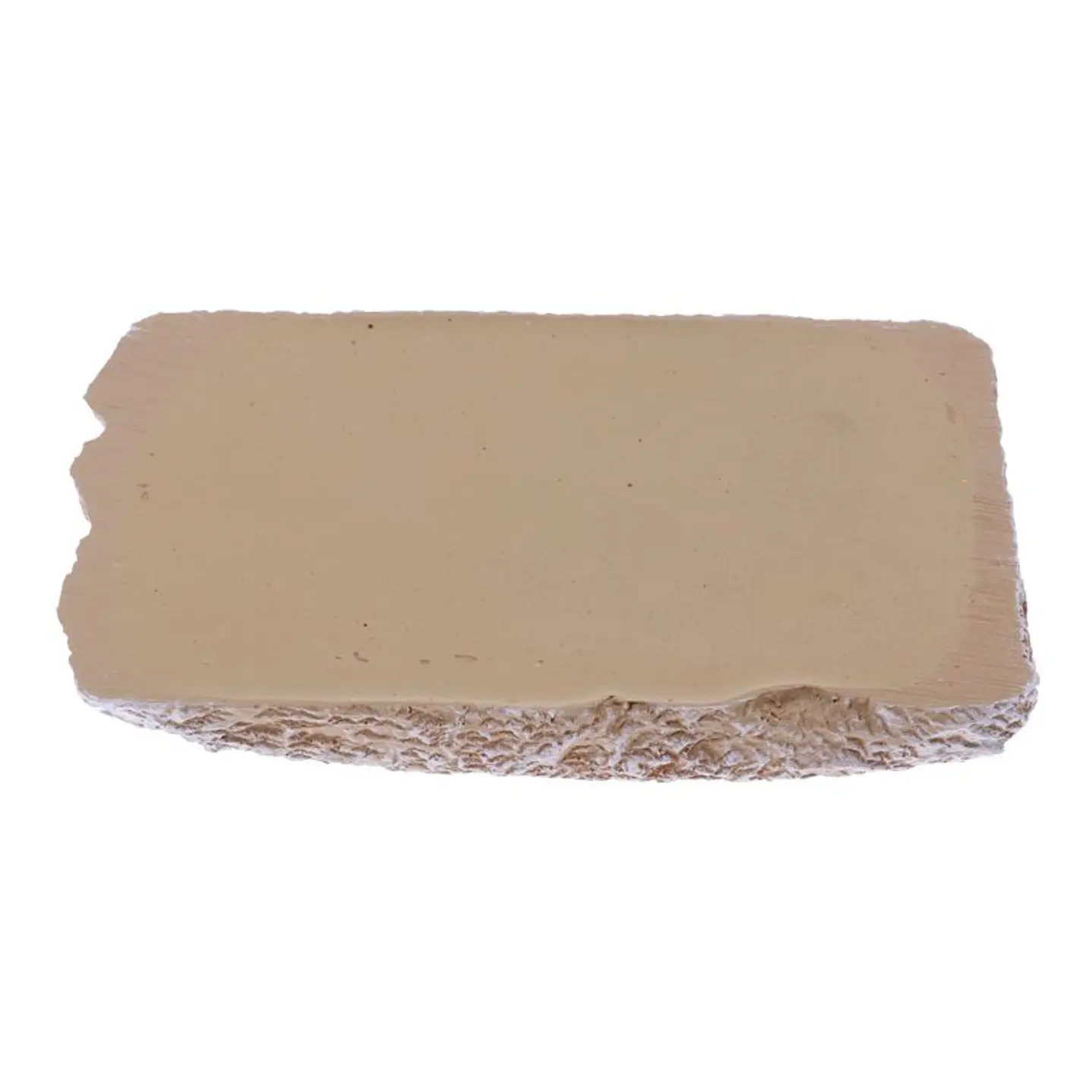 Plato bajo para reptiles 2