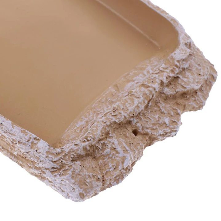 Plato bajo para reptiles 3