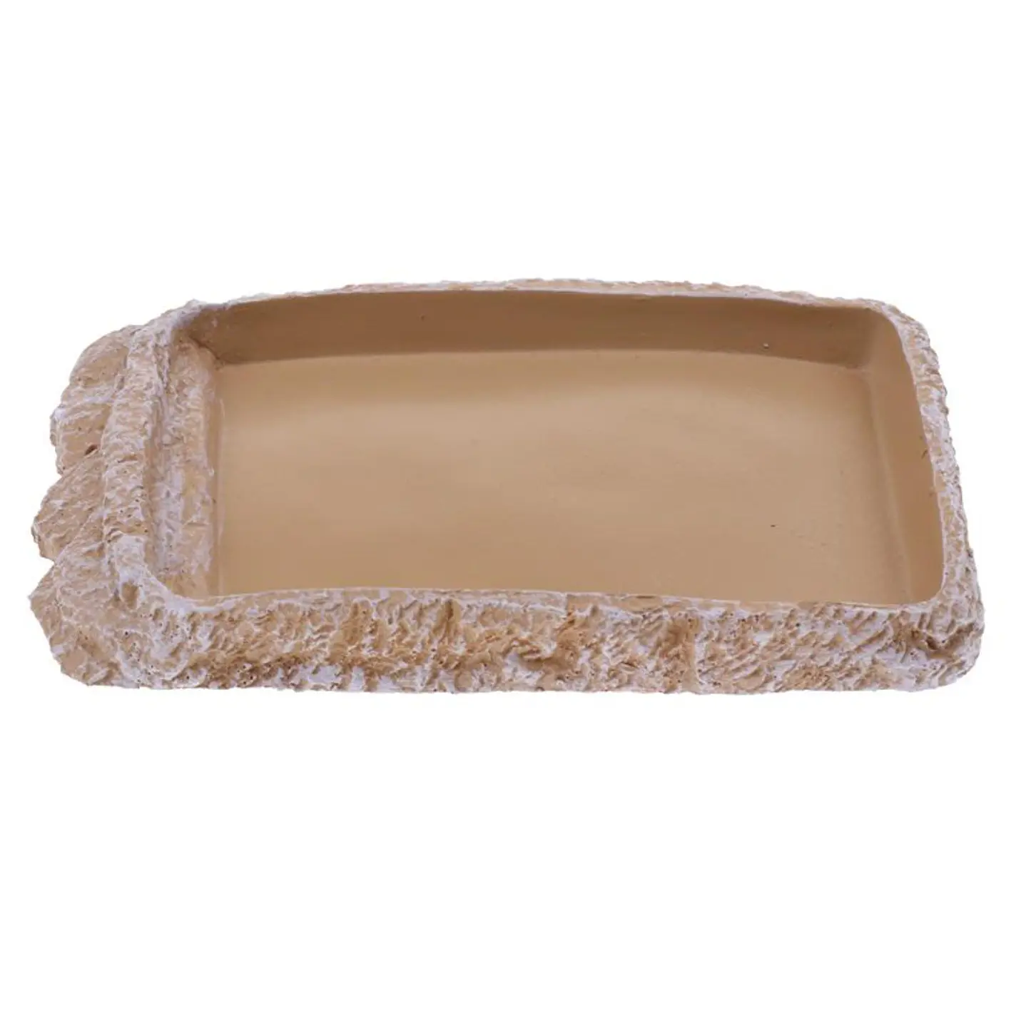 Plato bajo para reptiles 4