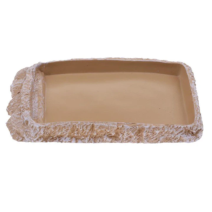 Plato bajo para reptiles 4