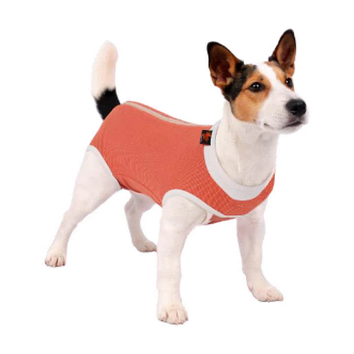 Ropa Postoperatoria Mascota Wonder Body 1
